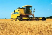 خرید تضمینی گندم با قیمت مصوب ۲۰۵۰۰ تومان در استان سمنان