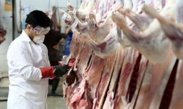 نظارت دامپزشکی بر ذبح دام در عید قربان