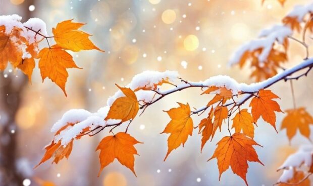 هواشناسی ایران1404/7/17؛سامانه بارشی در راه ایران از یکشنبه هواشناسی ایران1404/7/17؛سامانه بارشی در راه ایران از یکشنبه