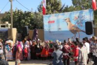 آئین زاغ بور، روایت اصالت در سرزمینِ قلعه‌بالا