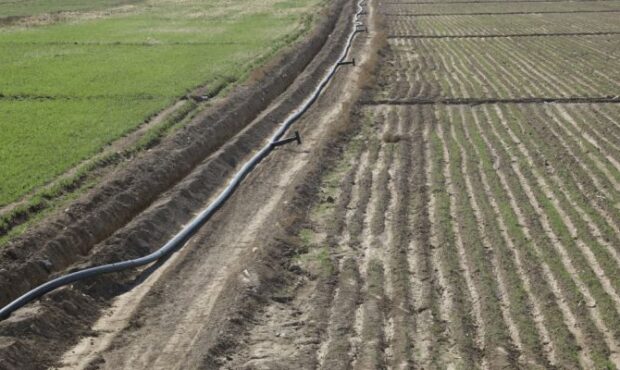 اجرای ۱۹ پروژه آبخیزداری و کشاورزی در سمنان اجرای ۱۹ پروژه آبخیزداری و کشاورزی در سمنان