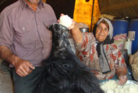 ایلی سرافراز با فرهنگی غنی