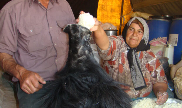 ایلی سرافراز با فرهنگی غنی