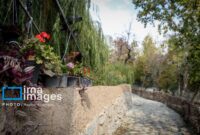 جای خالی «اکوپارک» در سمنان «پایتخت تنوع زیستی ایران» جای خالی «اکوپارک» در سمنان «پایتخت تنوع زیستی ایران»